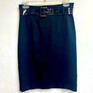 Cynthia Steefe Pencil Skirt, size 2, Adjustable back zipper